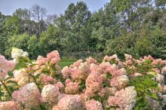 10804-Clifton-Ave-247