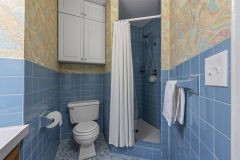 42-web-or-mls-1110-Boone-Ave-N-146