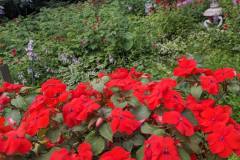 PXL_20230716_131052820