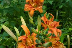 PXL_20240804_200741344