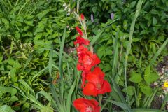 PXL_20240808_160031461