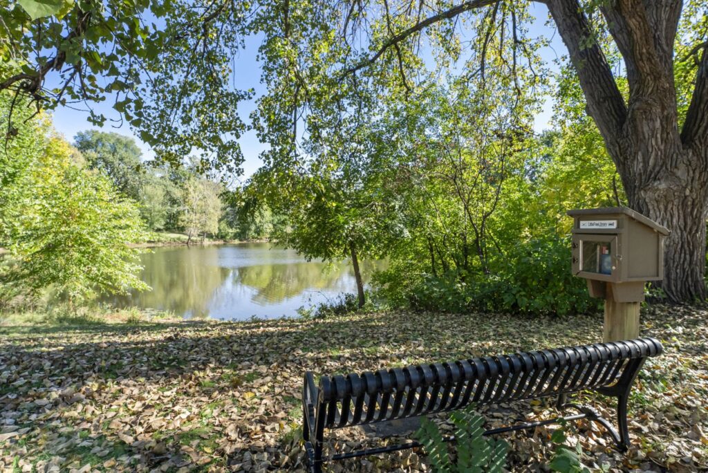 A black metal bench faces a small pond surrounded by trees with green leaves. To the right, a small wooden free library box stands on a post. Fallen leaves cover the ground and the sky is clear and blue.