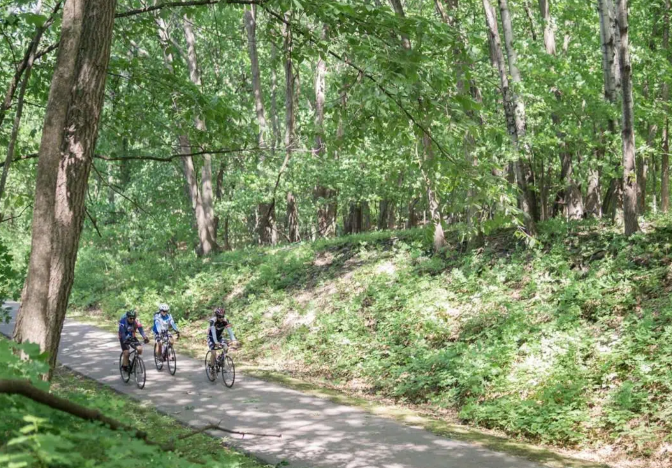 Three cyclists ride along a paved path through a lush, green forest near 236 Pine St Lester Prairie MN. Tall trees with dense foliage line both sides of the trail, casting dappled shadows on the ground.